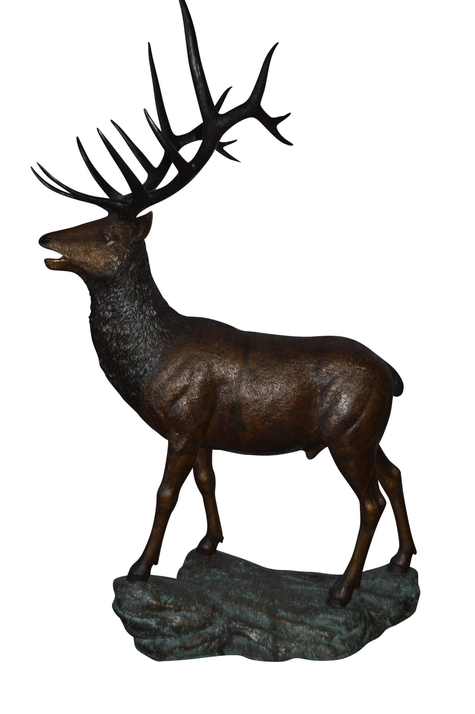 Standing Elk, life size bronze statue - Size: 42"L x 31"W x 77"H. (1 of 9)