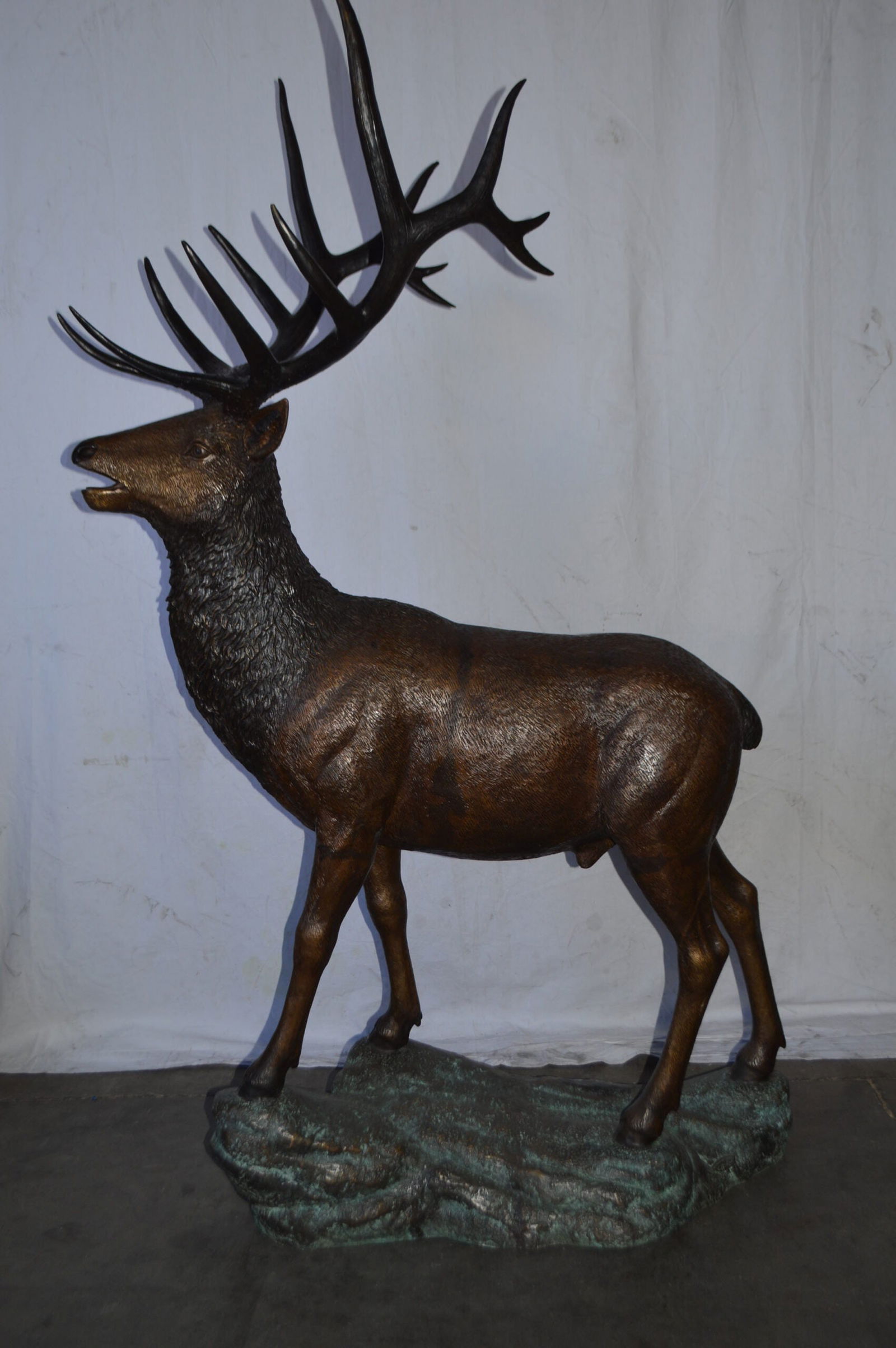 Standing Elk, life size bronze statue - Size: 42"L x 31"W x 77"H. - 4