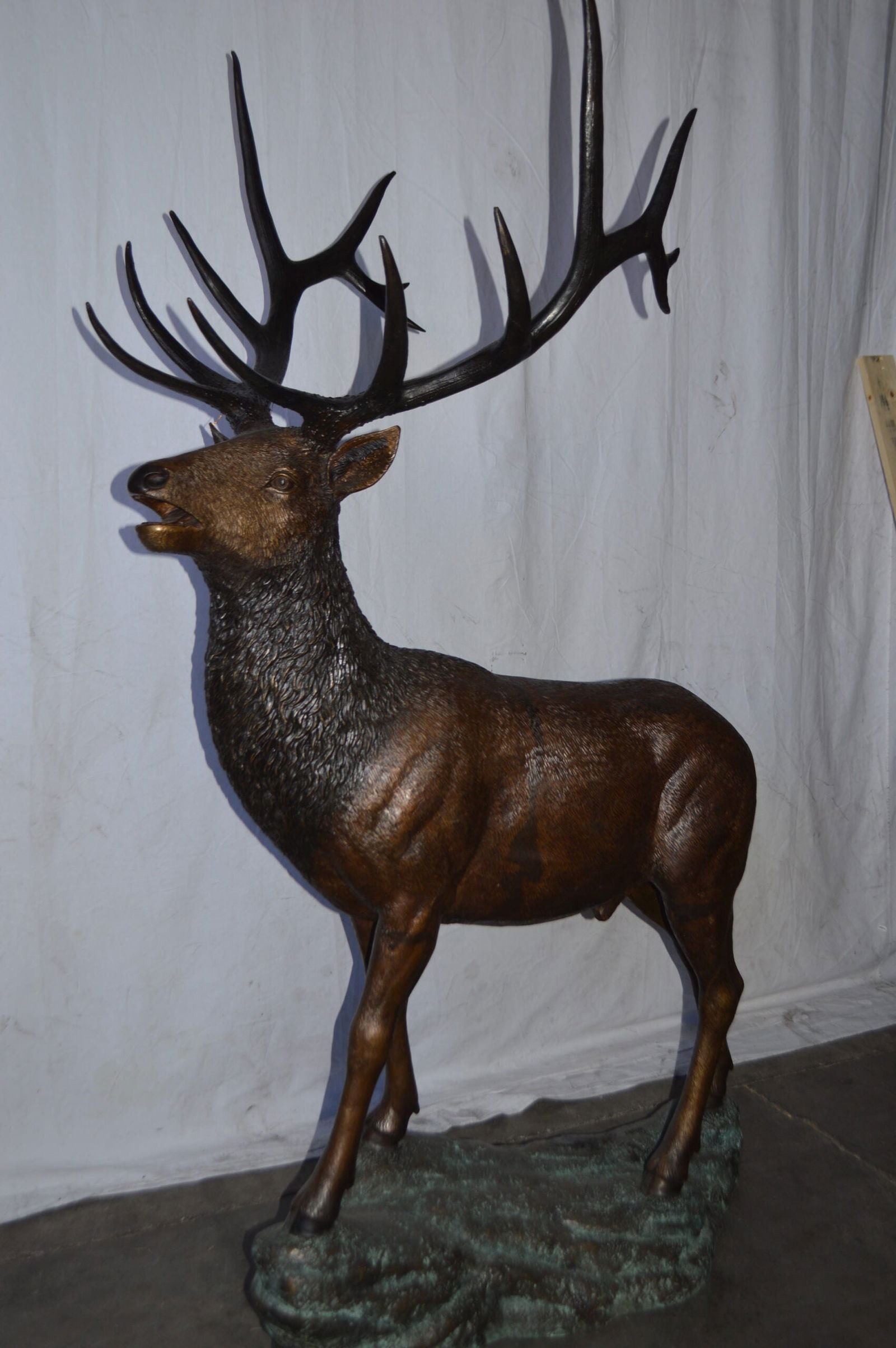Standing Elk, life size bronze statue - Size: 42"L x 31"W x 77"H. - 5