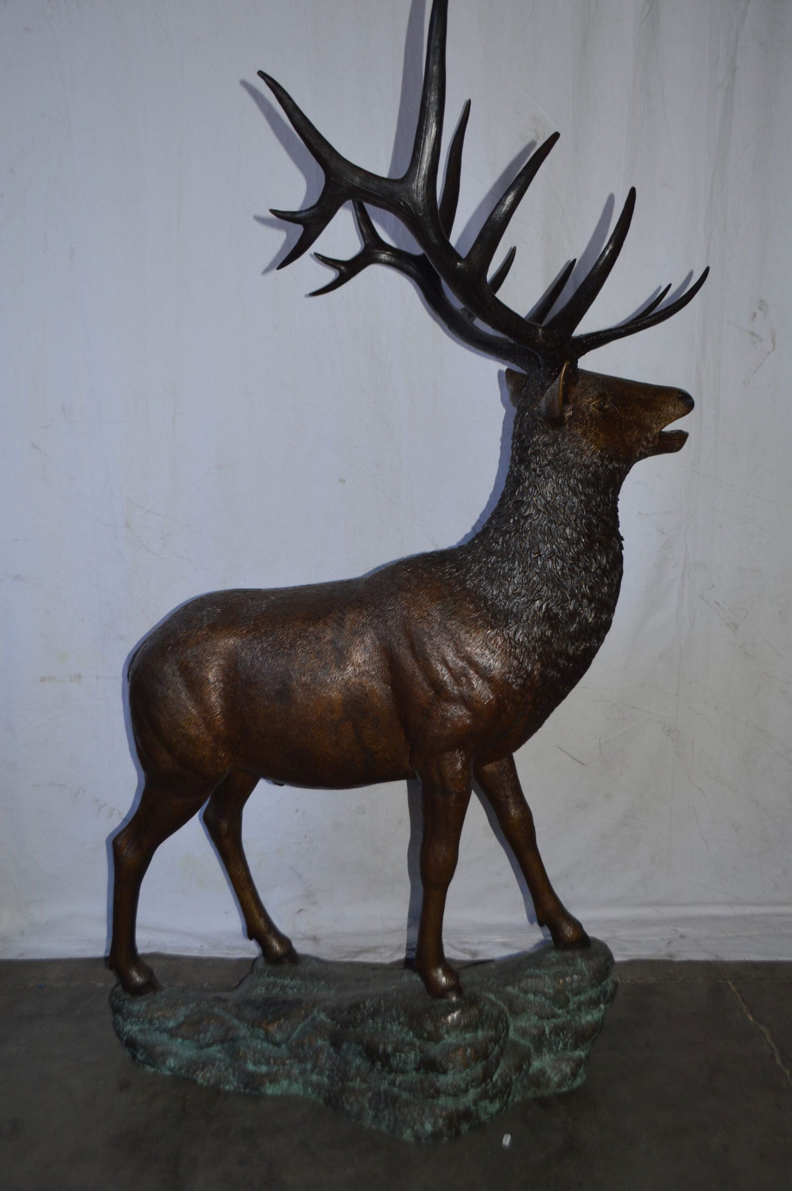 Standing Elk, life size bronze statue - Size: 42"L x 31"W x 77"H. - 7