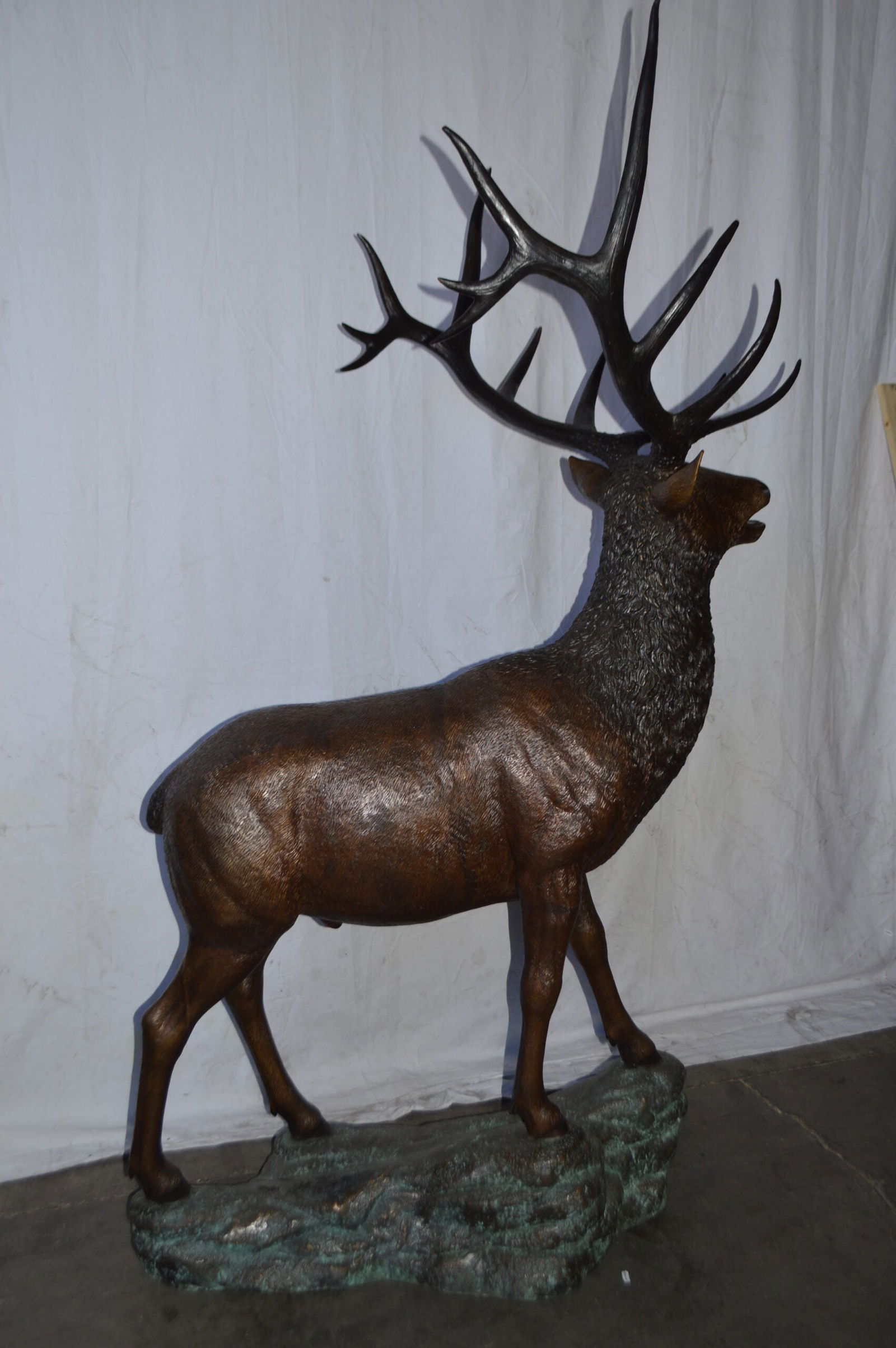 Standing Elk, life size bronze statue - Size: 42"L x 31"W x 77"H. - 8