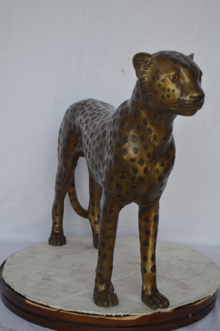 Baby Cheetah, Cub, Bronze Statue - Size: 30"L x 10"W x 25"H. - 7