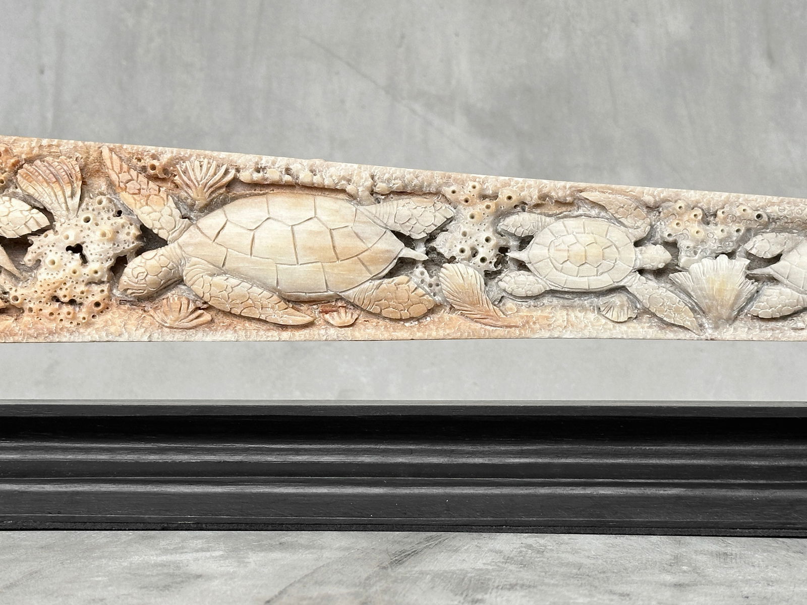 Beautiful engraved Swordfish rostrum - Marine motif - 7