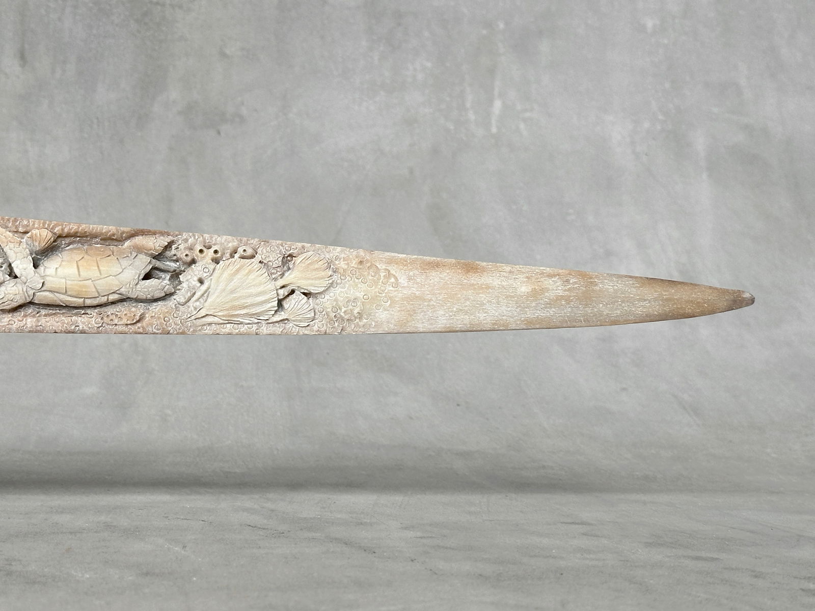 Beautiful engraved Swordfish rostrum - Marine motif - 9