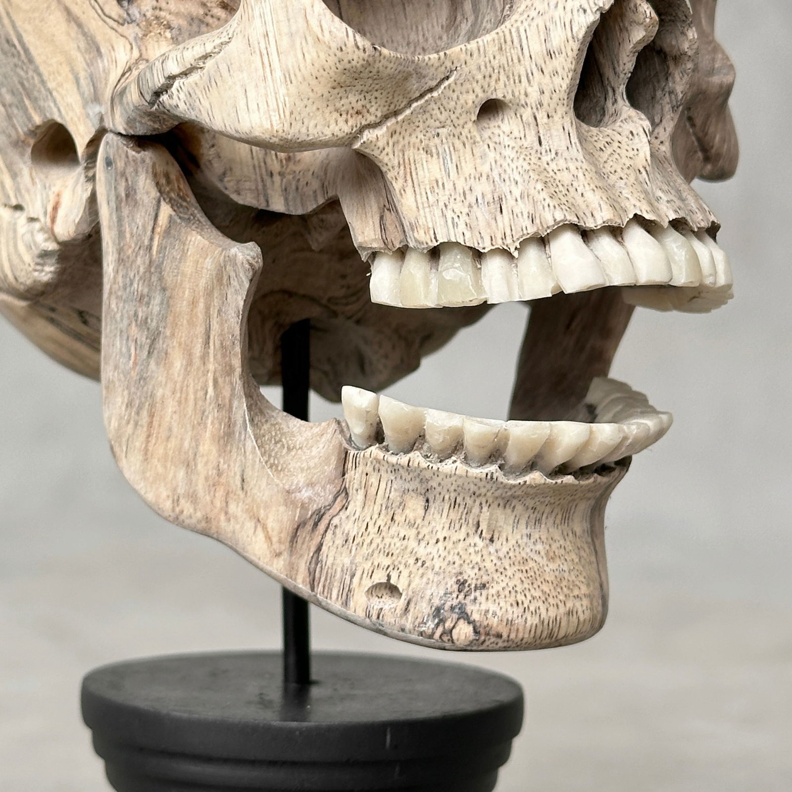 Wonderful human skull with a beautiful grain on a custom stand - 10