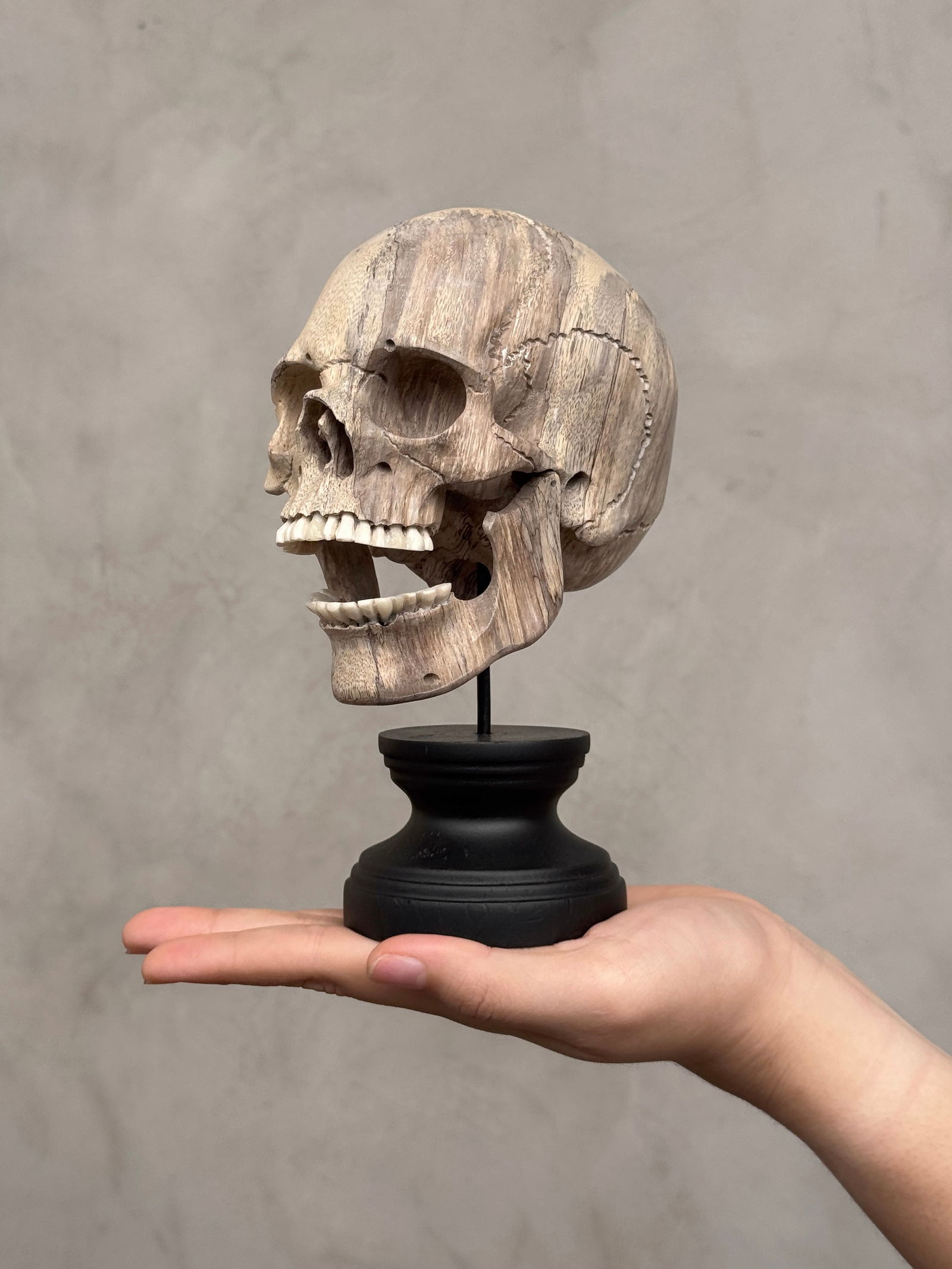 Wonderful human skull with a beautiful grain on a custom stand (1 of 10)