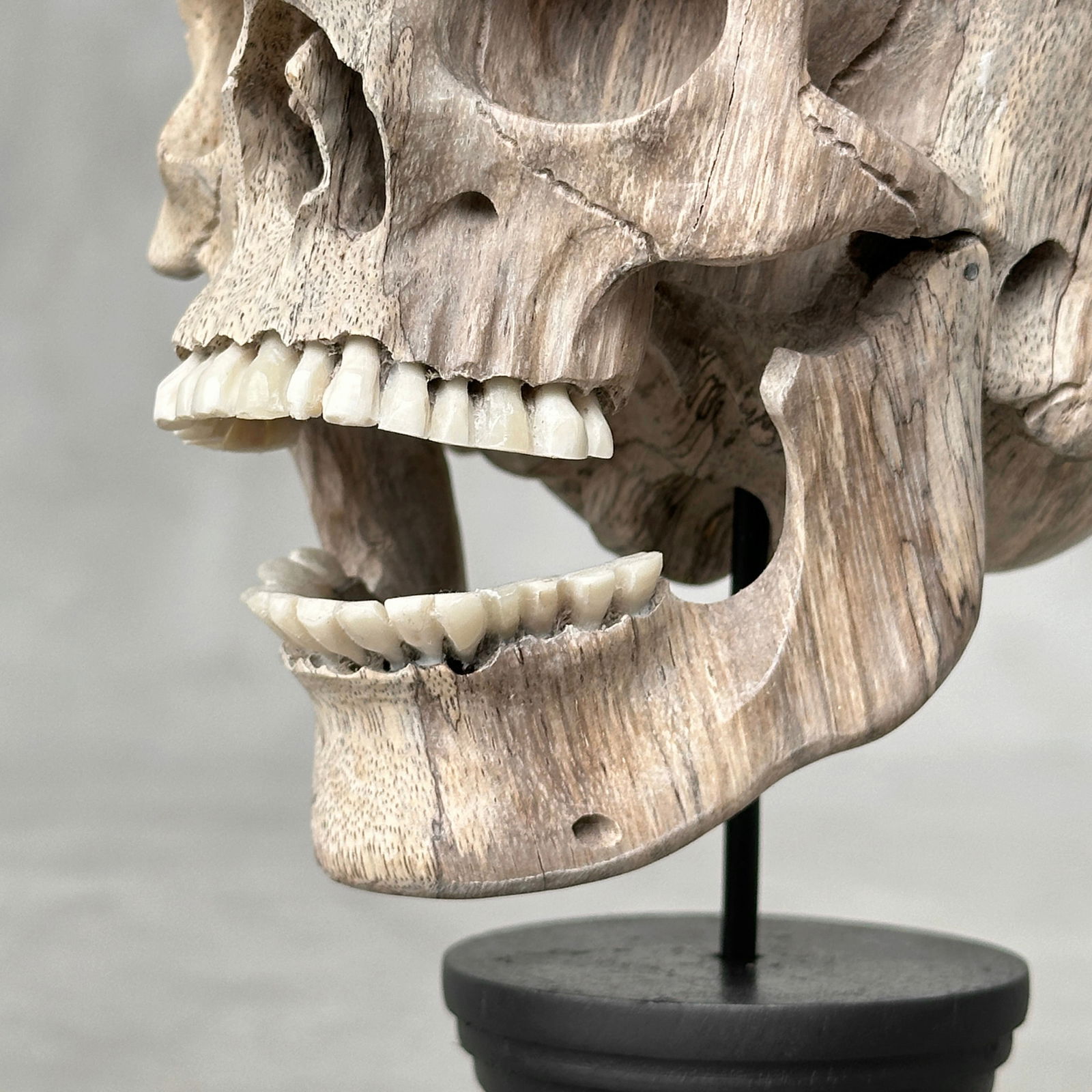 Wonderful human skull with a beautiful grain on a custom stand - 4