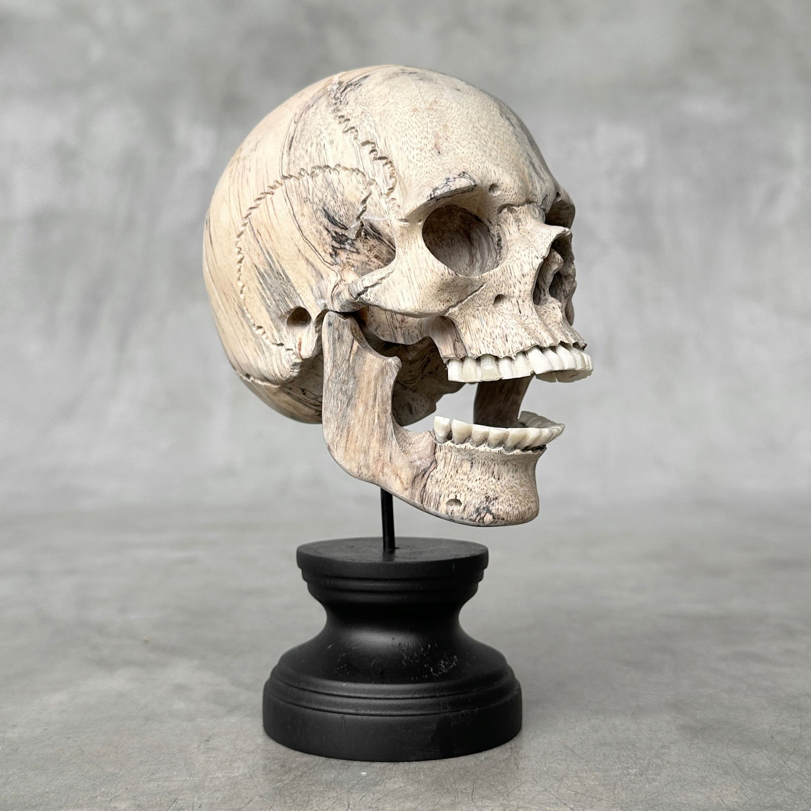 Wonderful human skull with a beautiful grain on a custom stand - 8