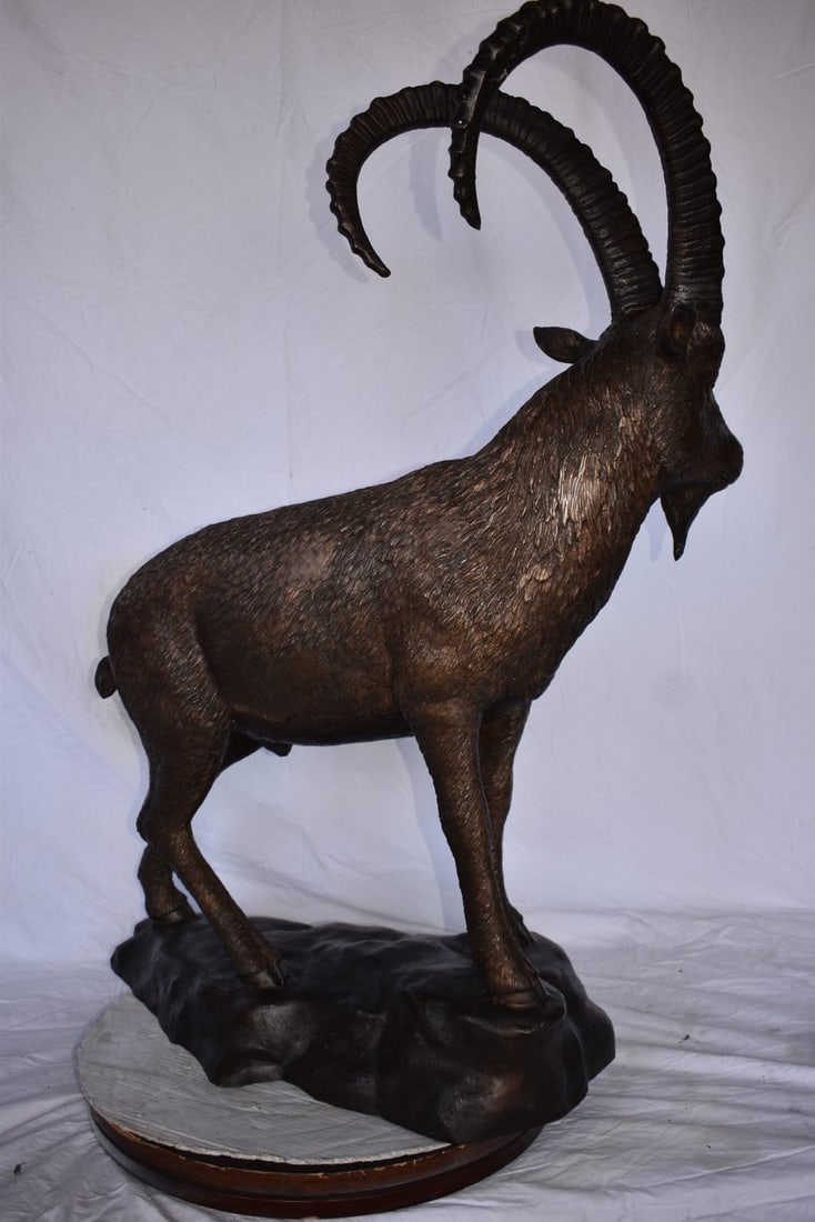 Standing Lifesize Mountain Goat Bronze Statue - Size: 22"L x 36"W x 48"H. - 10