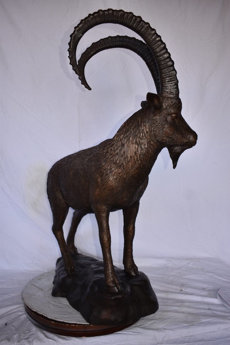 Standing Lifesize Mountain Goat Bronze Statue - Size: 22"L x 36"W x 48"H. - 11