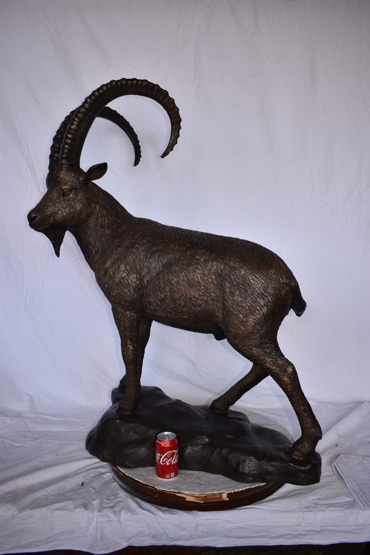 Standing Lifesize Mountain Goat Bronze Statue - Size: 22"L x 36"W x 48"H. - 3