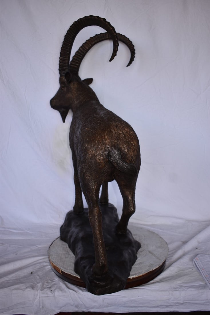 Standing Lifesize Mountain Goat Bronze Statue - Size: 22"L x 36"W x 48"H. - 5