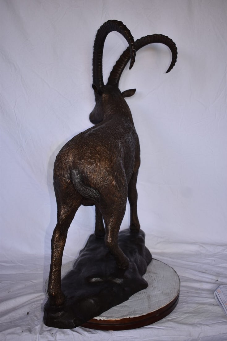 Standing Lifesize Mountain Goat Bronze Statue - Size: 22"L x 36"W x 48"H. - 6