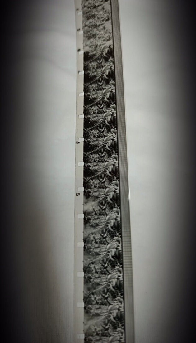 Rare Military Collection – Vintage Film with Box "ECPA" - 7