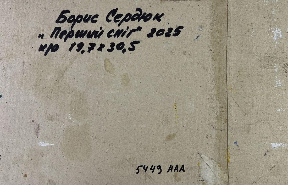 Oil painting Silent cover gently covering the earth Boris Serdyuk - 10