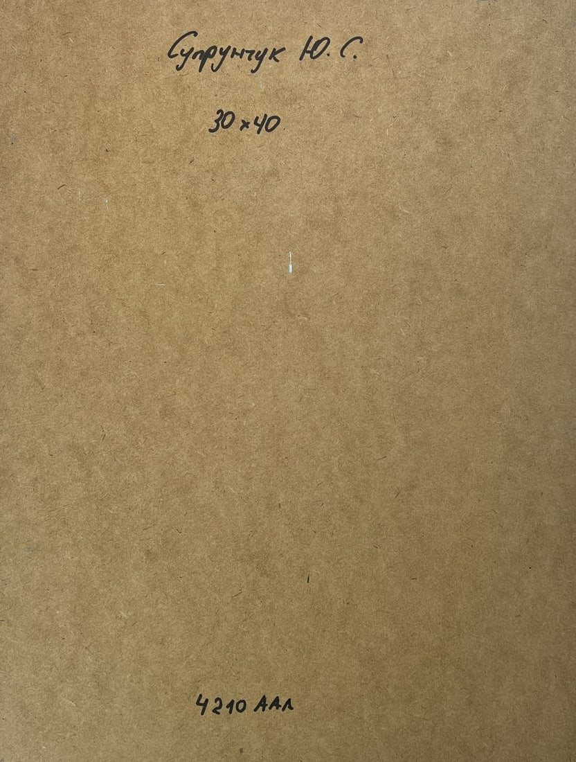 Oil painting A moment of silence by the river Yuriy Suprunchuk - 10