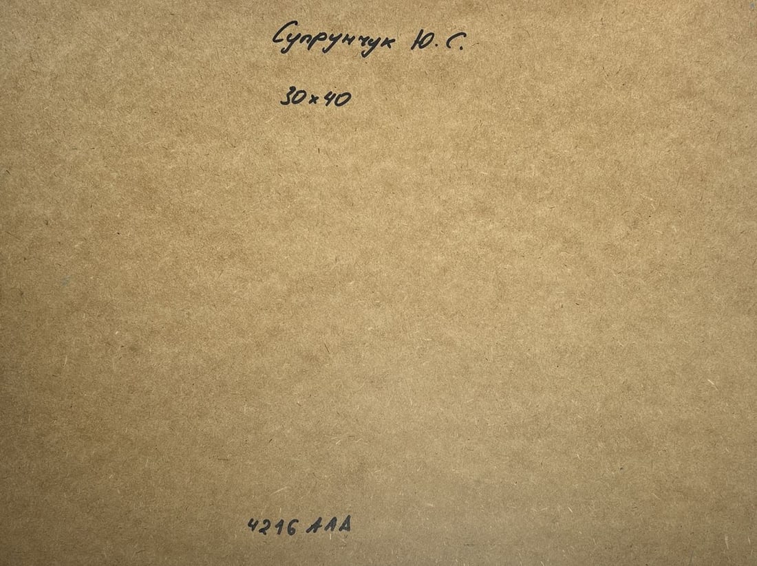 Oil painting River in the arms of the forest Yuriy Suprunchuk - 10