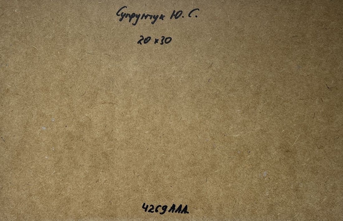 Oil painting Quiet flow of the river Yuriy Suprunchuk - 10