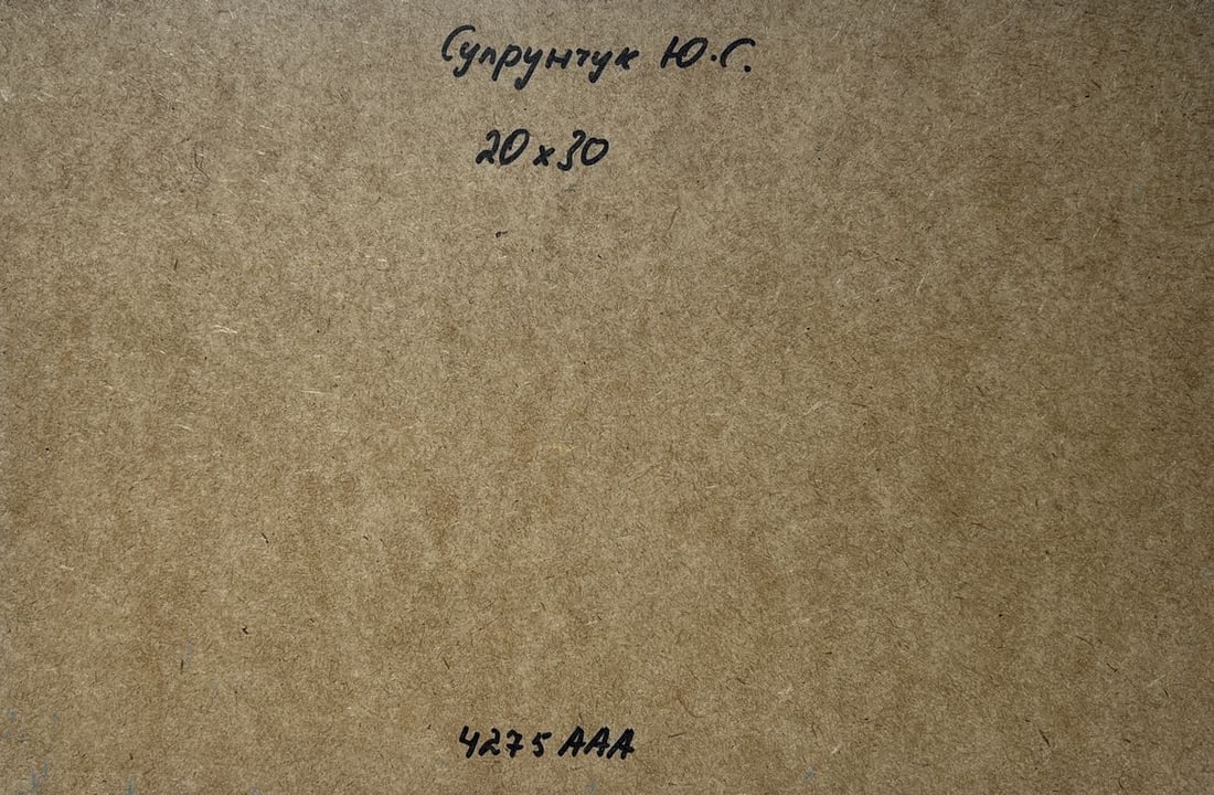 Oil painting Summer peace on the river Yuriy Suprunchuk - 10