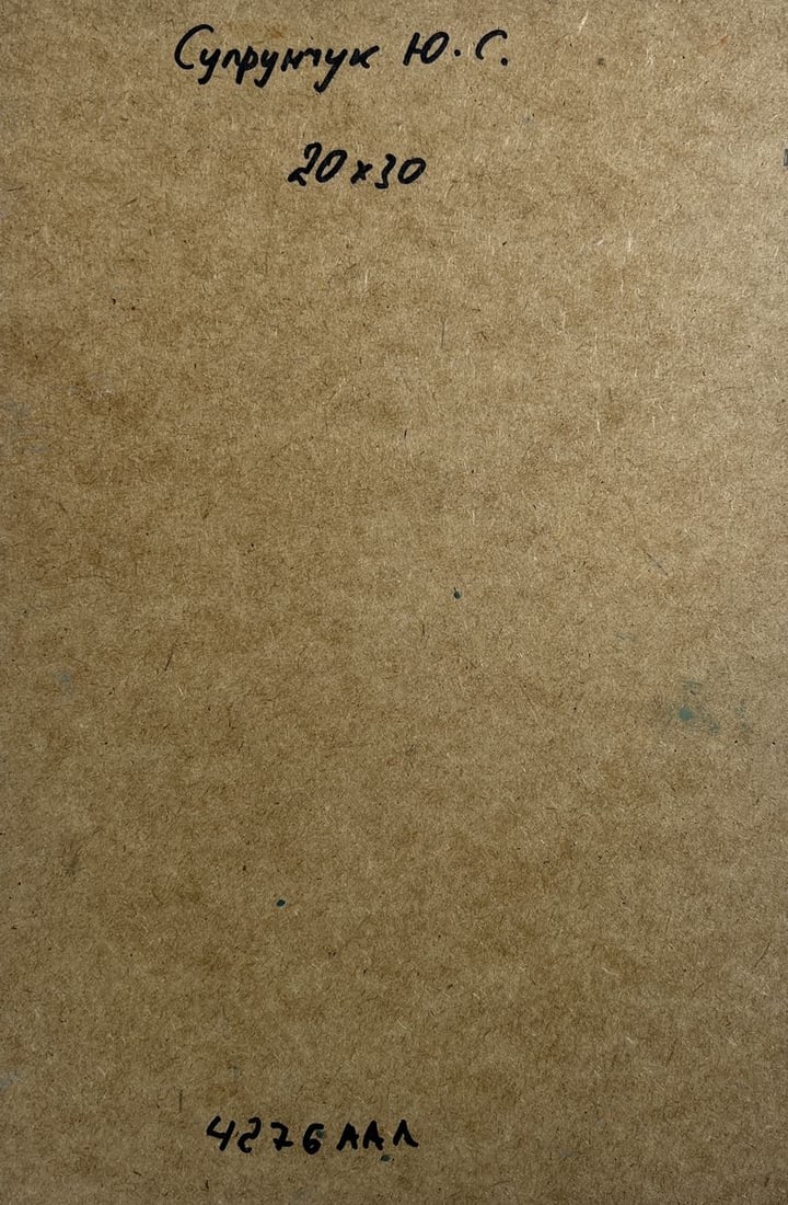 Oil painting There is a boat port in the village Yuriy Suprunchuk - 10