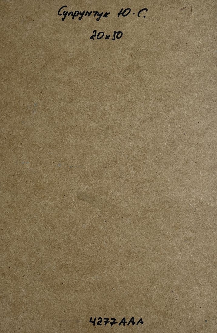 Oil painting Boats off the city coast Yuriy Suprunchuk - 10