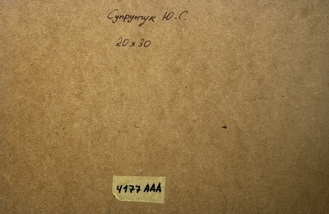 Oil painting Ferry on a long river Yuriy Suprunchuk - 10