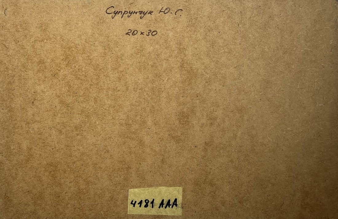 Oil painting Summer cloudy weather Yuriy Suprunchuk - 10