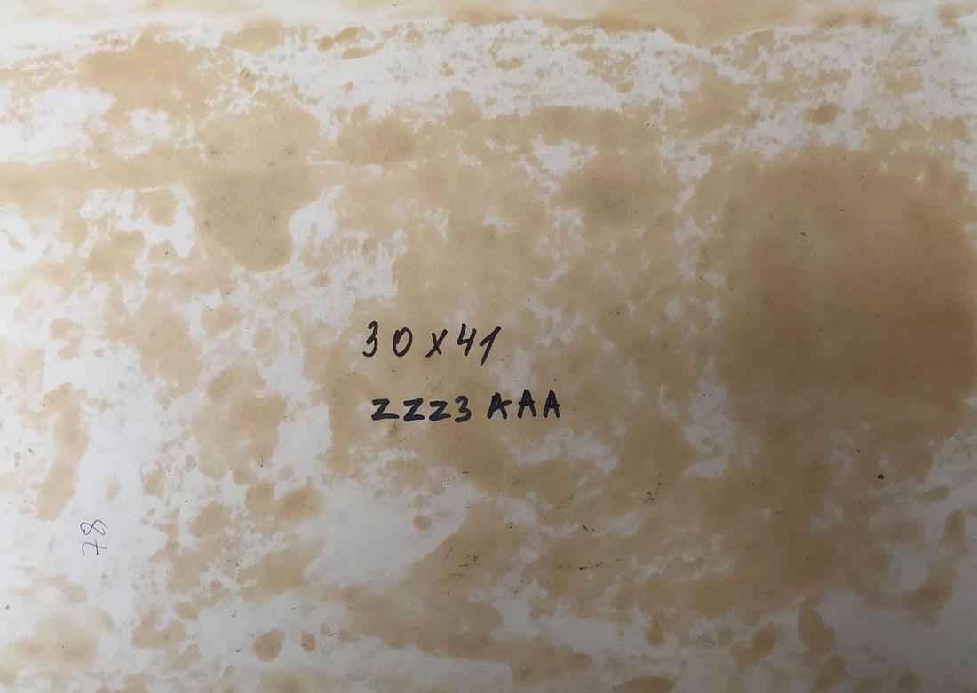 Oil painting Chernihiv forests Peter Tovpev - 11