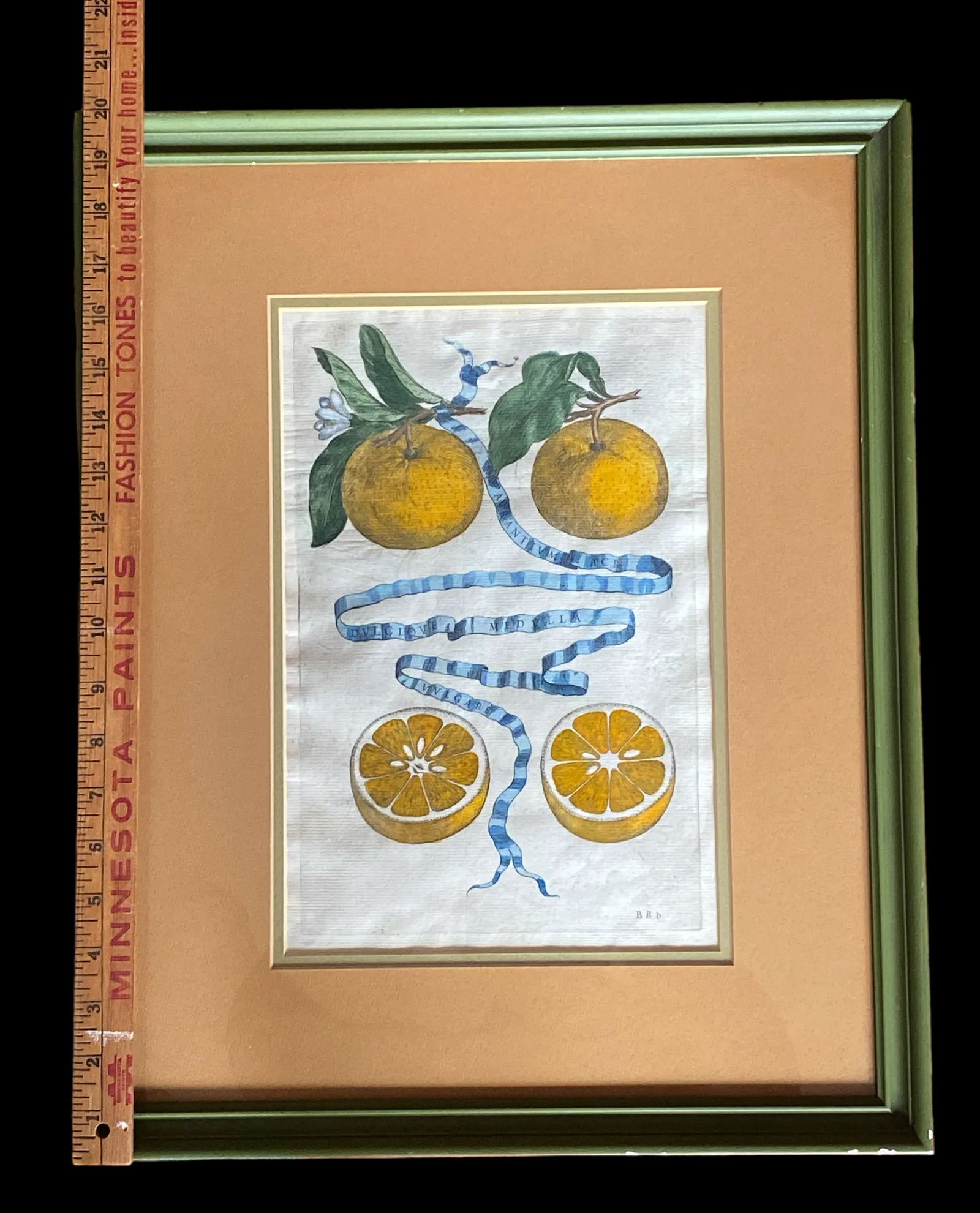 17th Century French Antique Hand Colored Engraving "Hesperides" Engraved by Bloemaert Framed - 2