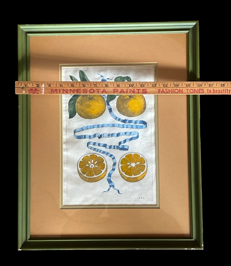 17th Century French Antique Hand Colored Engraving "Hesperides" Engraved by Bloemaert Framed - 3