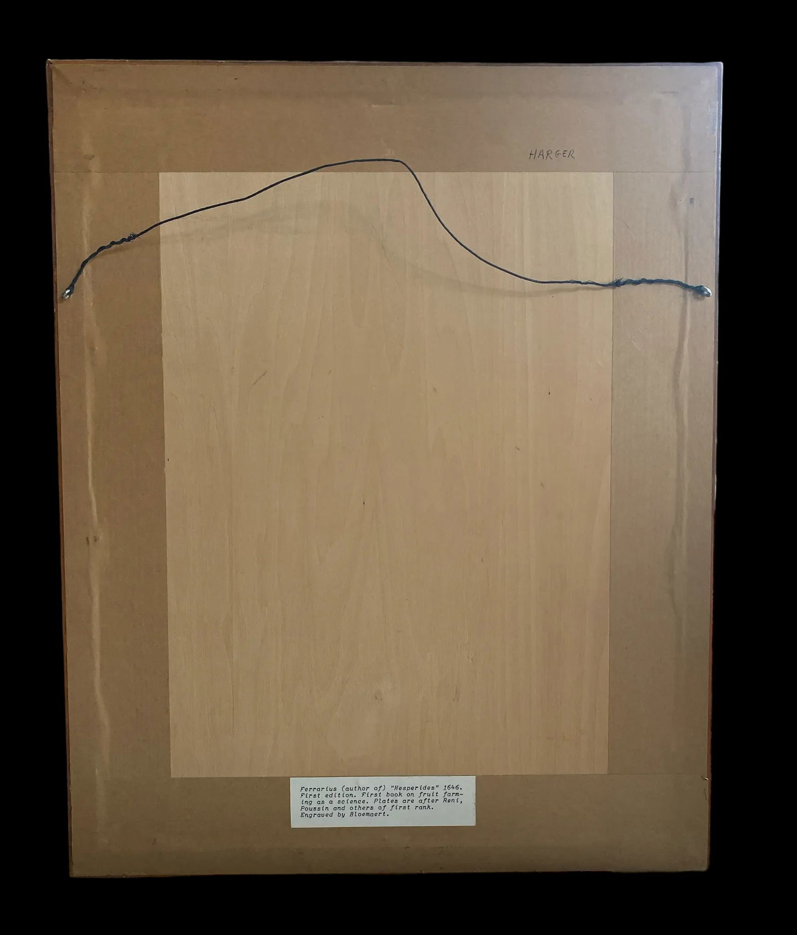 17th Century French Antique Hand Colored Engraving "Hesperides" Engraved by Bloemaert Framed - 8