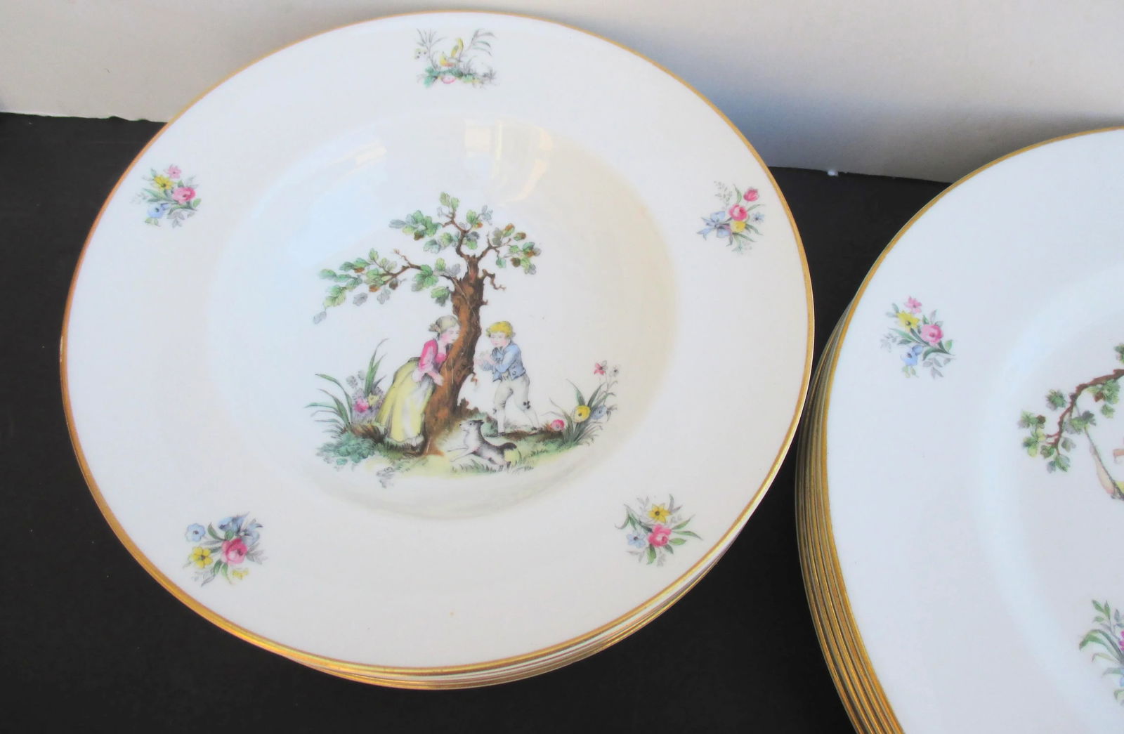 Royal Worcester Watteau Pattern Service Plates - a Group of 22 - 5