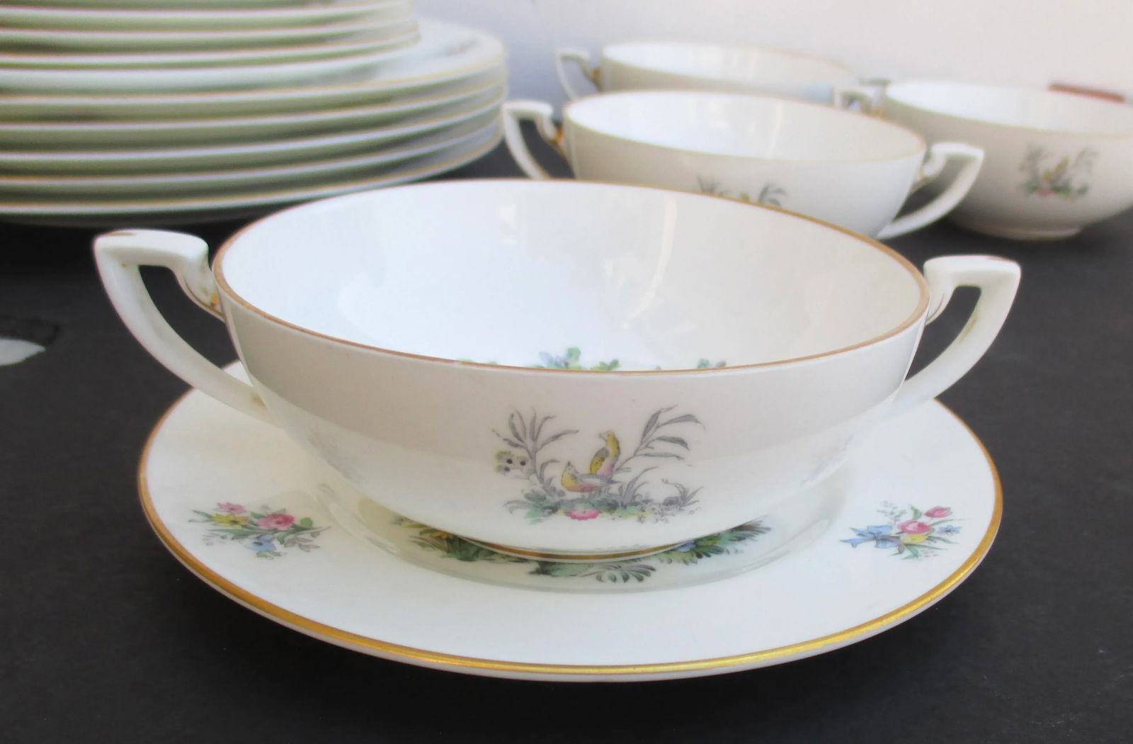 Royal Worcester Watteau Pattern Service Plates - a Group of 22 - 9