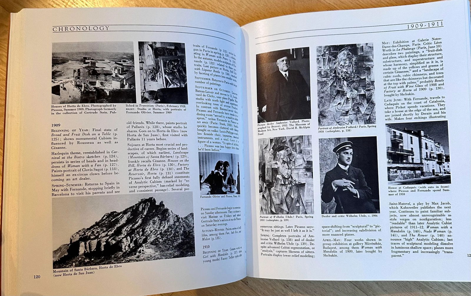 Pablo Picasso, MoMA, a Retrospective, Library or Coffee Table Book, 1980 New York - 10