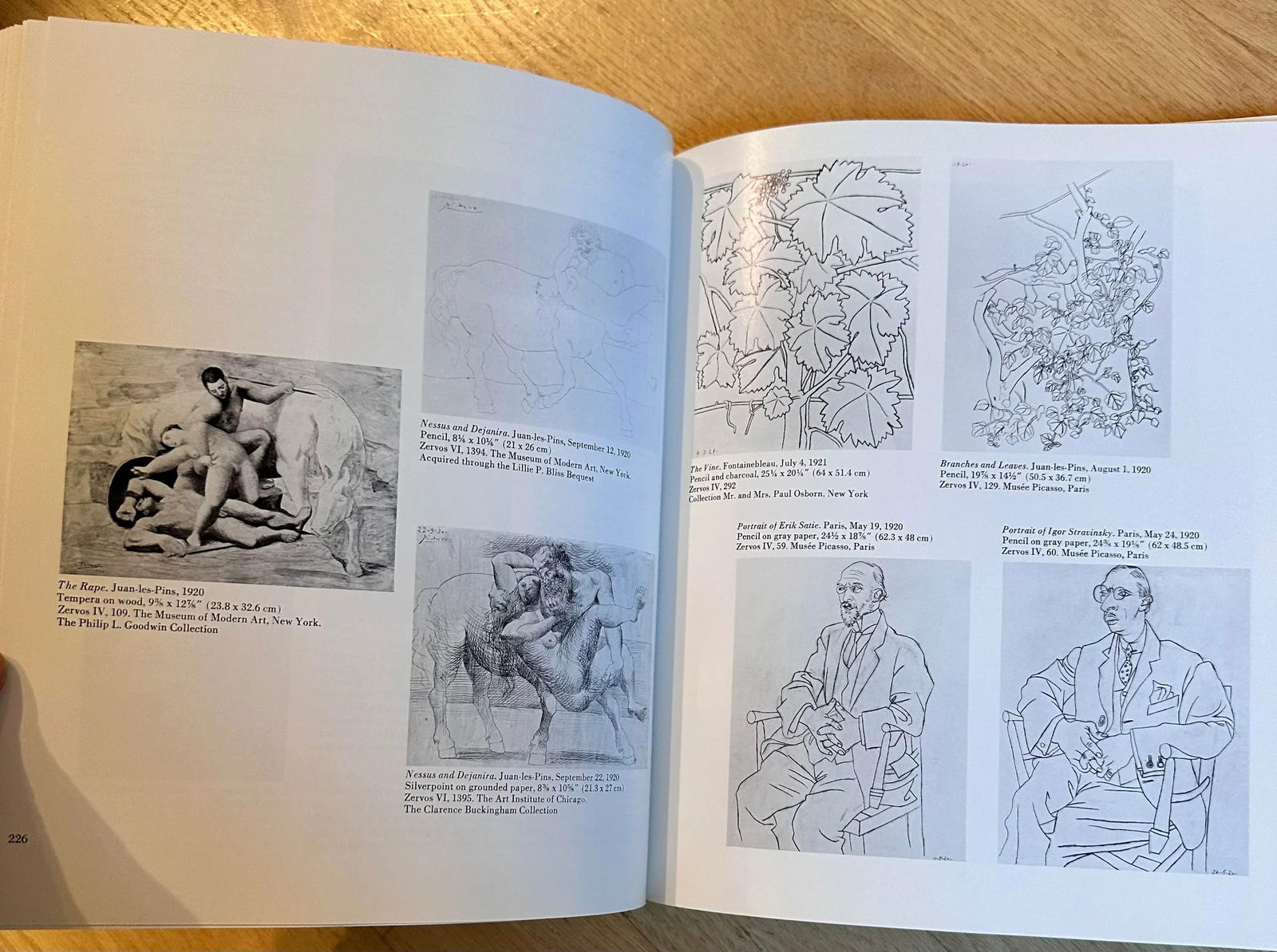 Pablo Picasso, MoMA, a Retrospective, Library or Coffee Table Book, 1980 New York - 12