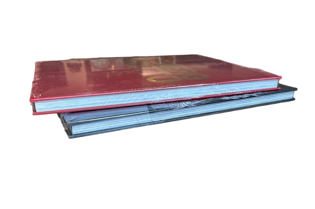 Set of 2 Romero Britto Coffee Table Art Hardcover Book Originals Red and Black 2016 Original Shrink - 4