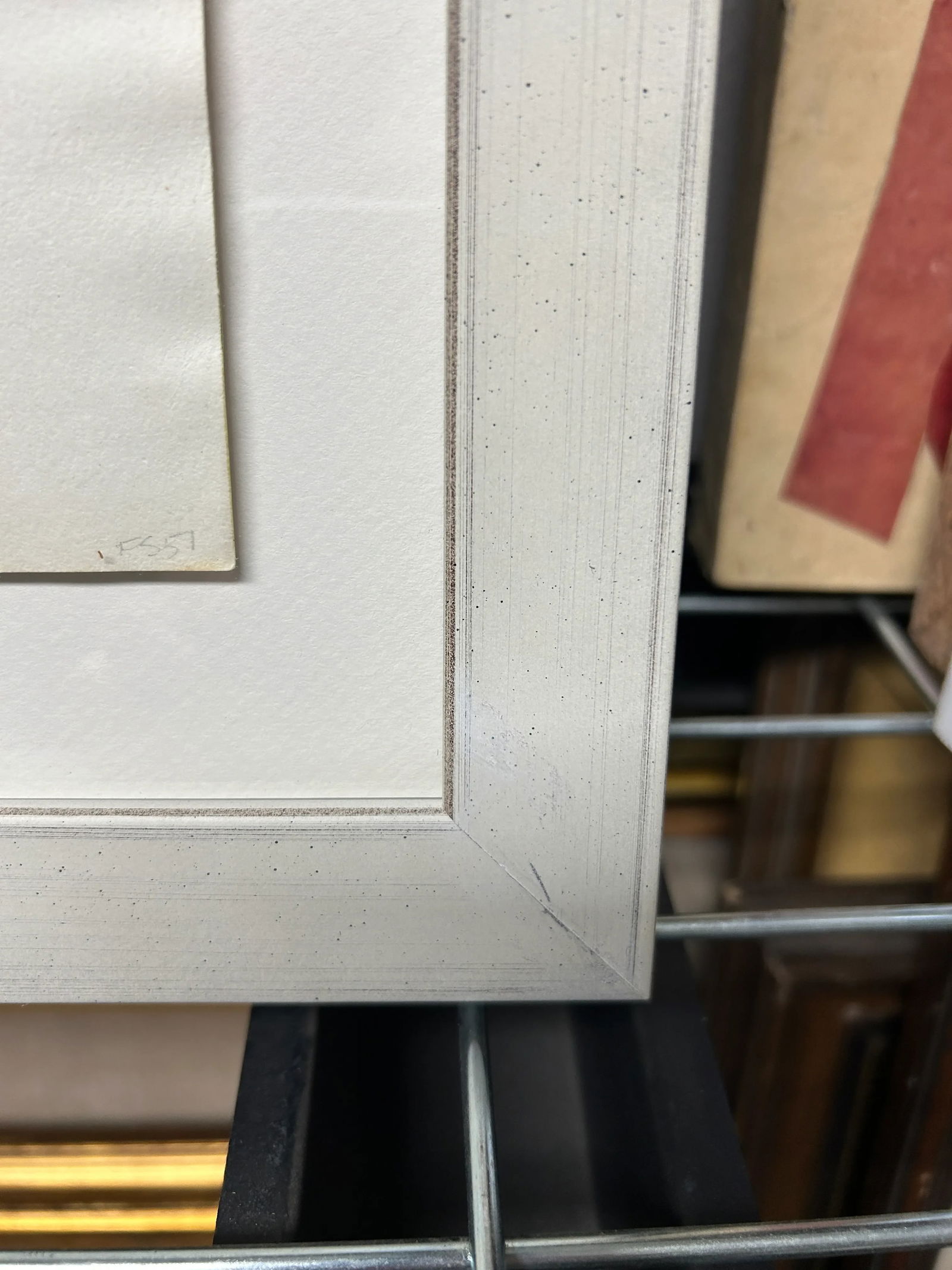 Antique Botanical Print Pelargonium Lady Mary Fox Framed Original 1904, Framed - 4