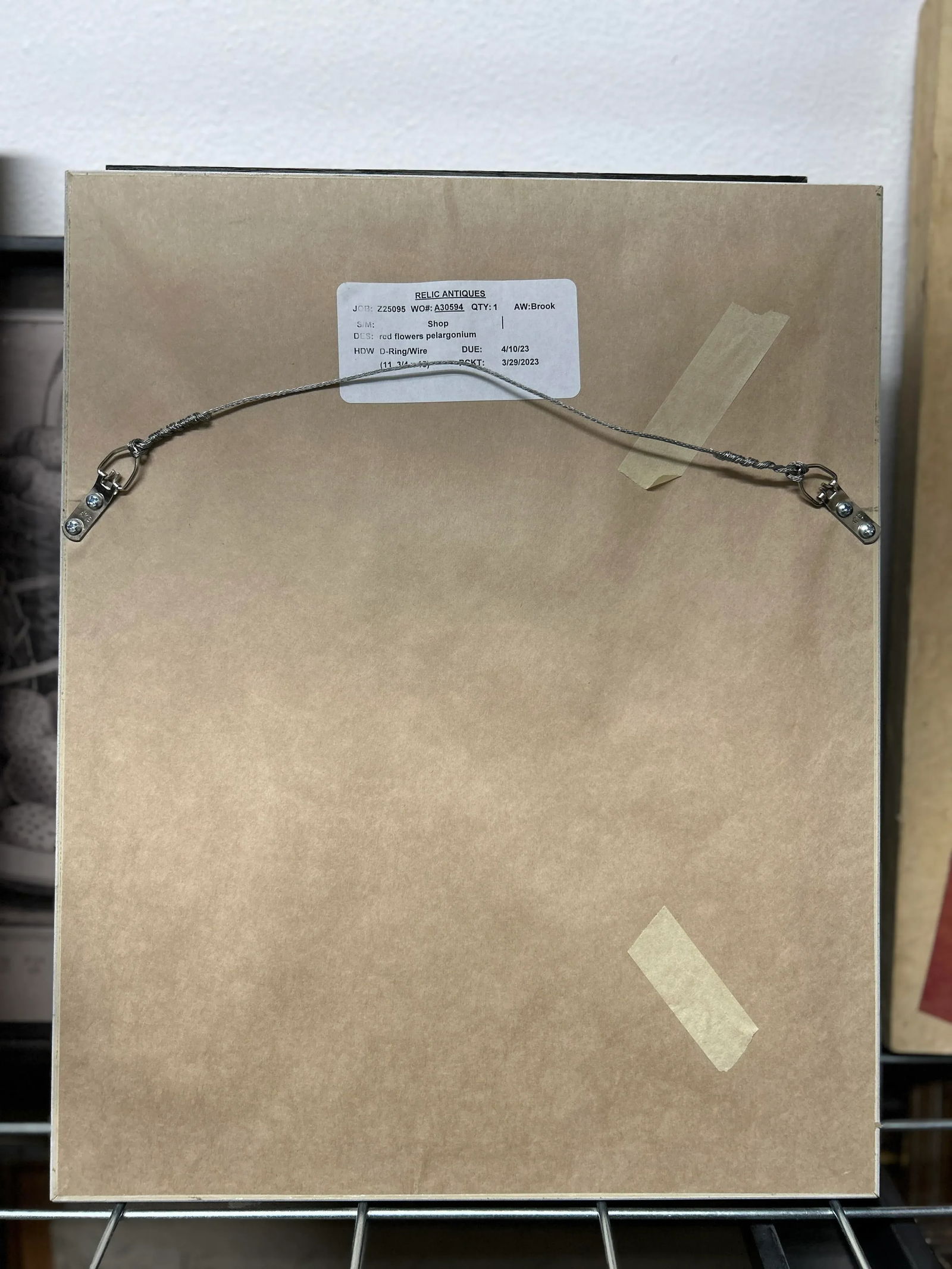 Antique Botanical Print Pelargonium Lady Mary Fox Framed Original 1904, Framed - 5