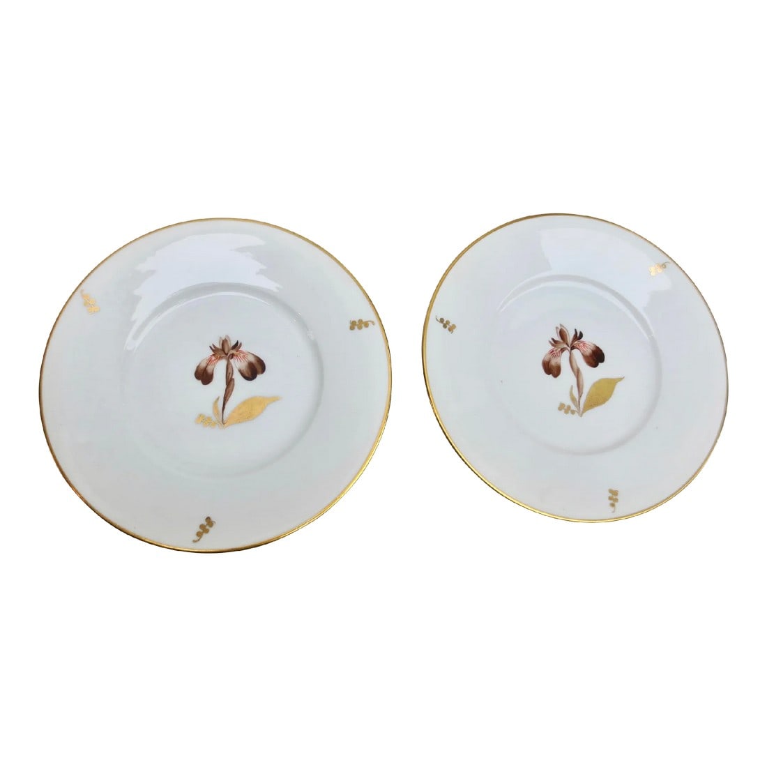 Brown Iris Plate by Royal Copenhagen Circa 1958: Floral decorator showplates with Brown Iris design. Royal Copenhagen mid-century ( 1958). Beautifully designed pattern from the 50s' in a Danish Modern taste. Great refinement. The plates measure 9"