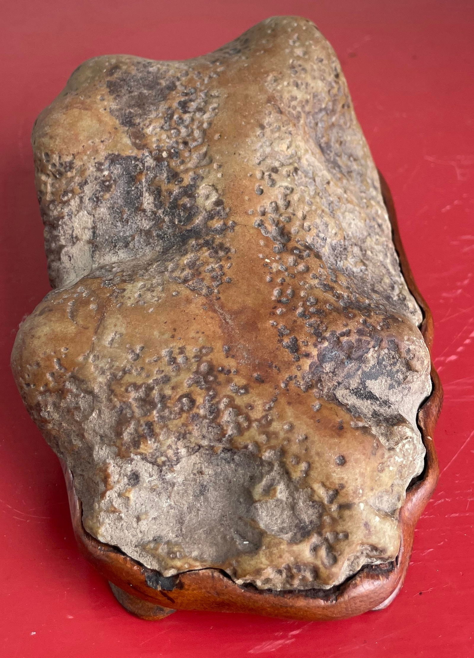 Chinese Scholar's Stone - 6