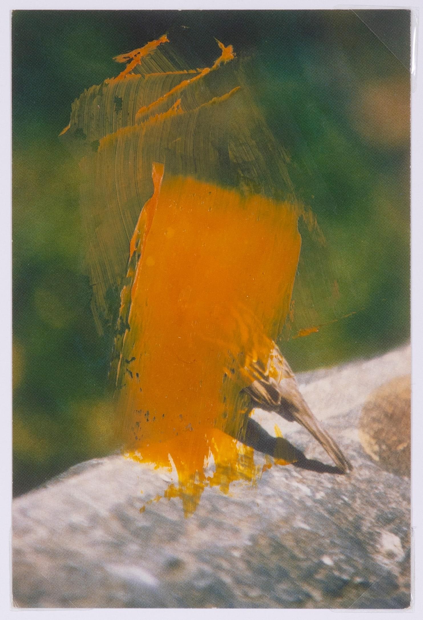 Original Signed James Sprouse "Yellow Oil Bird" 2001 - 2