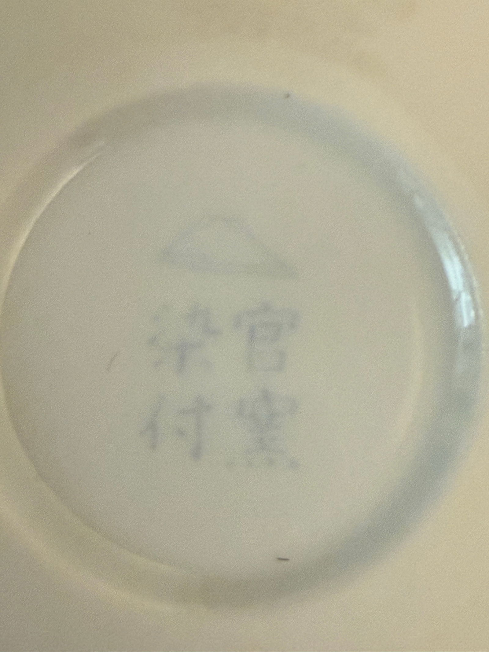 Stunning 20th Century Fukagawa Porcelain Vase With Sparrow and Wisteria Decoration - 9