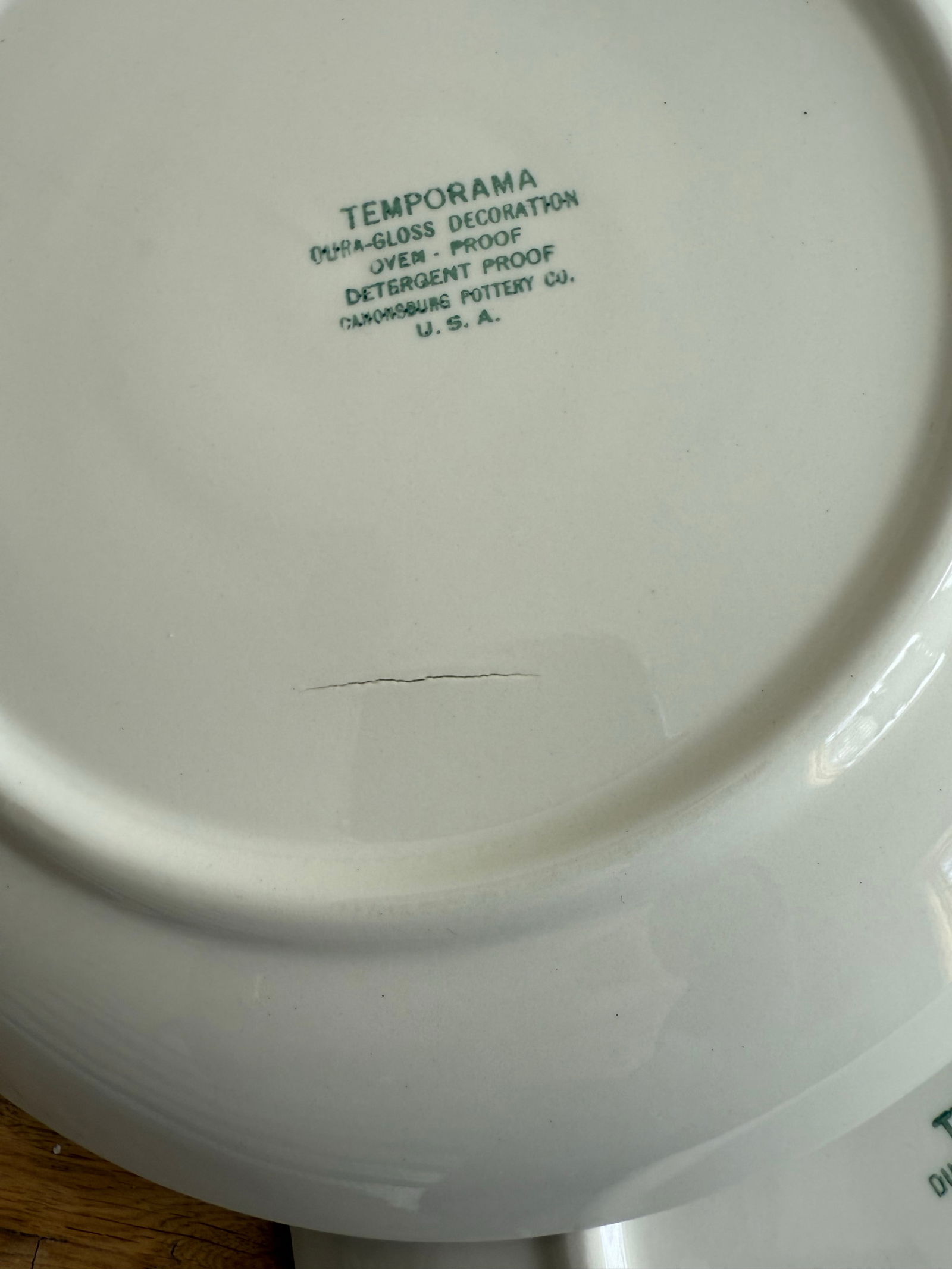 Mid-Century Modern Atomic Canonsburg Temporama Dinner Plates - Set of 5 - 11