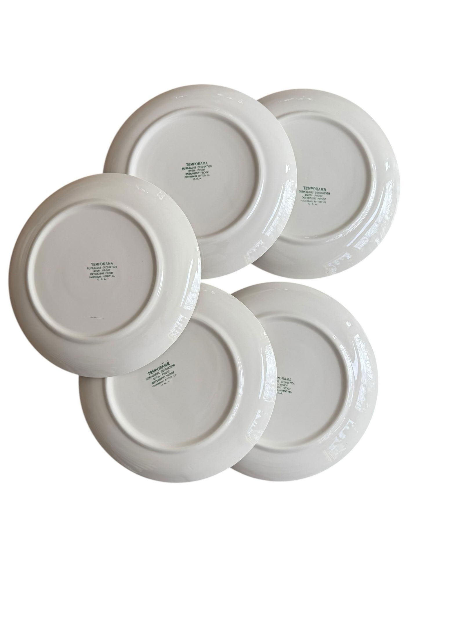 Mid-Century Modern Atomic Canonsburg Temporama Dinner Plates - Set of 5 - 9