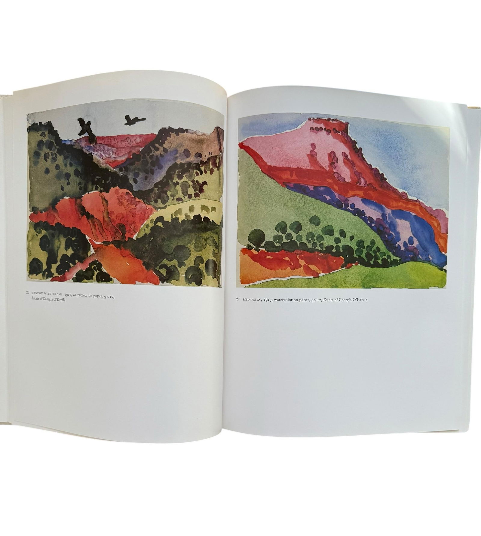 Georgia O'Keefe Coffee Table Art Book Hardcover 1987 - 12