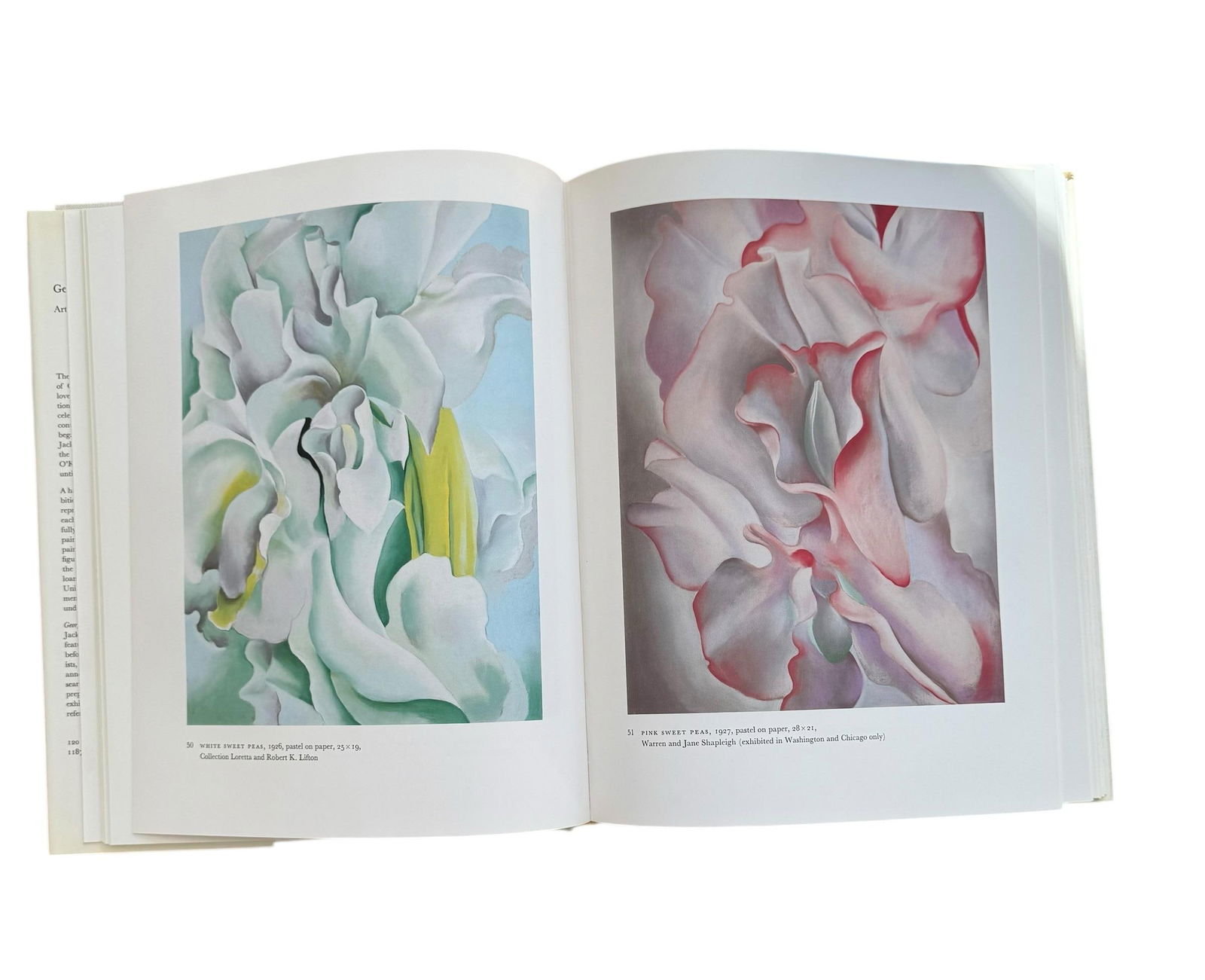 Georgia O'Keefe Coffee Table Art Book Hardcover 1987 - 6