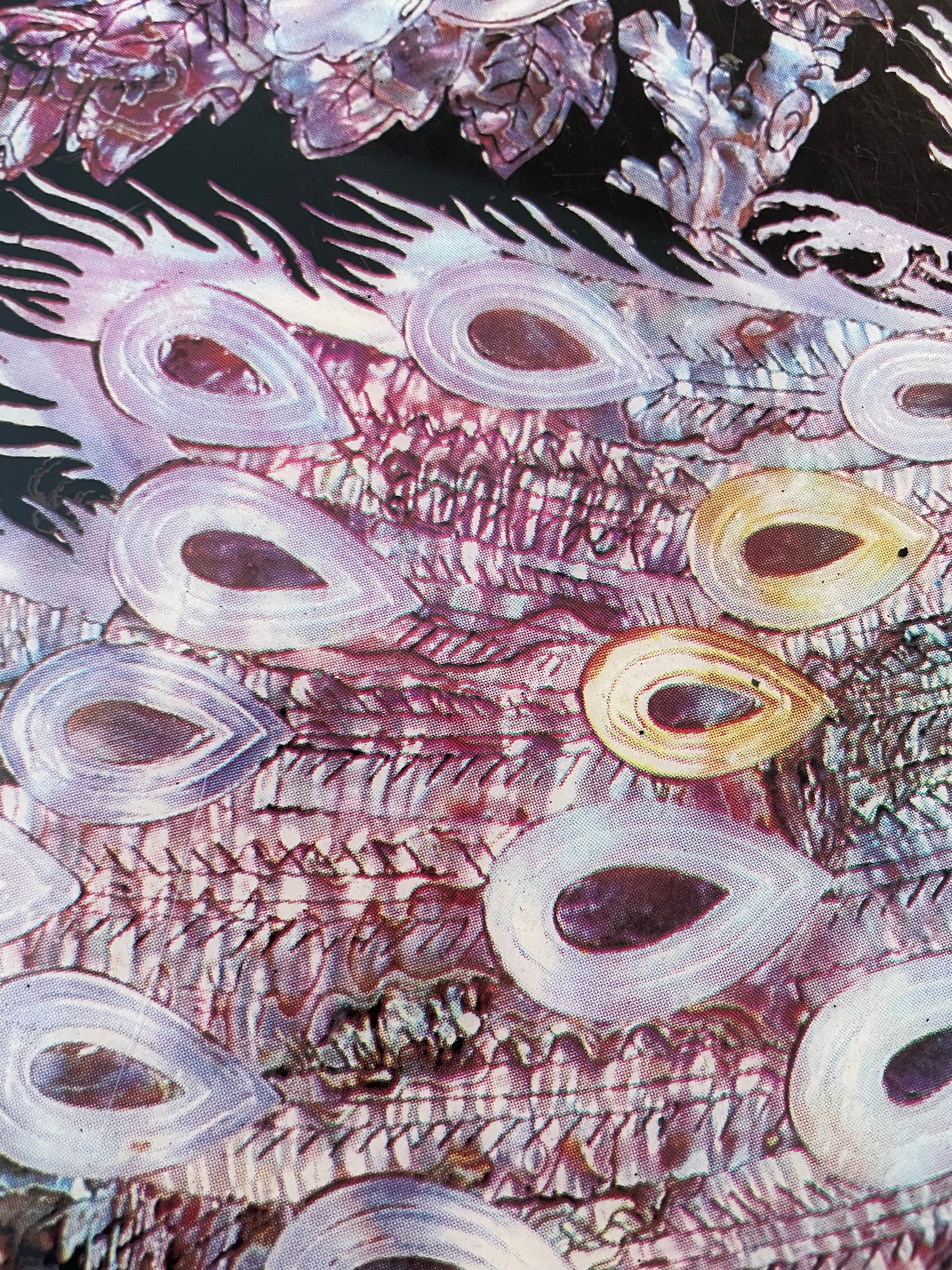 1960s Asian Style Coffee Table - 3