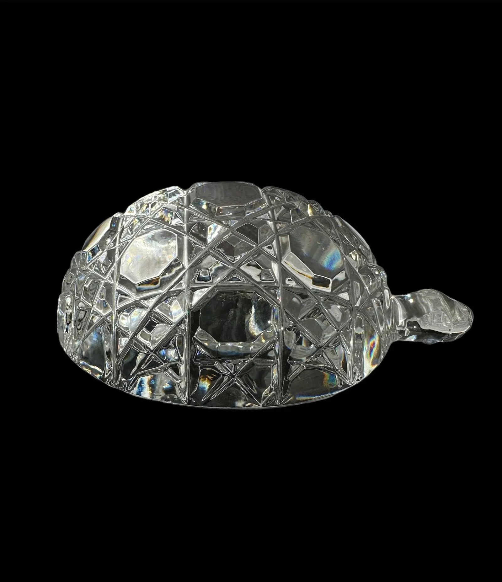 Waterford Turtle Crystal Paperweight - 2