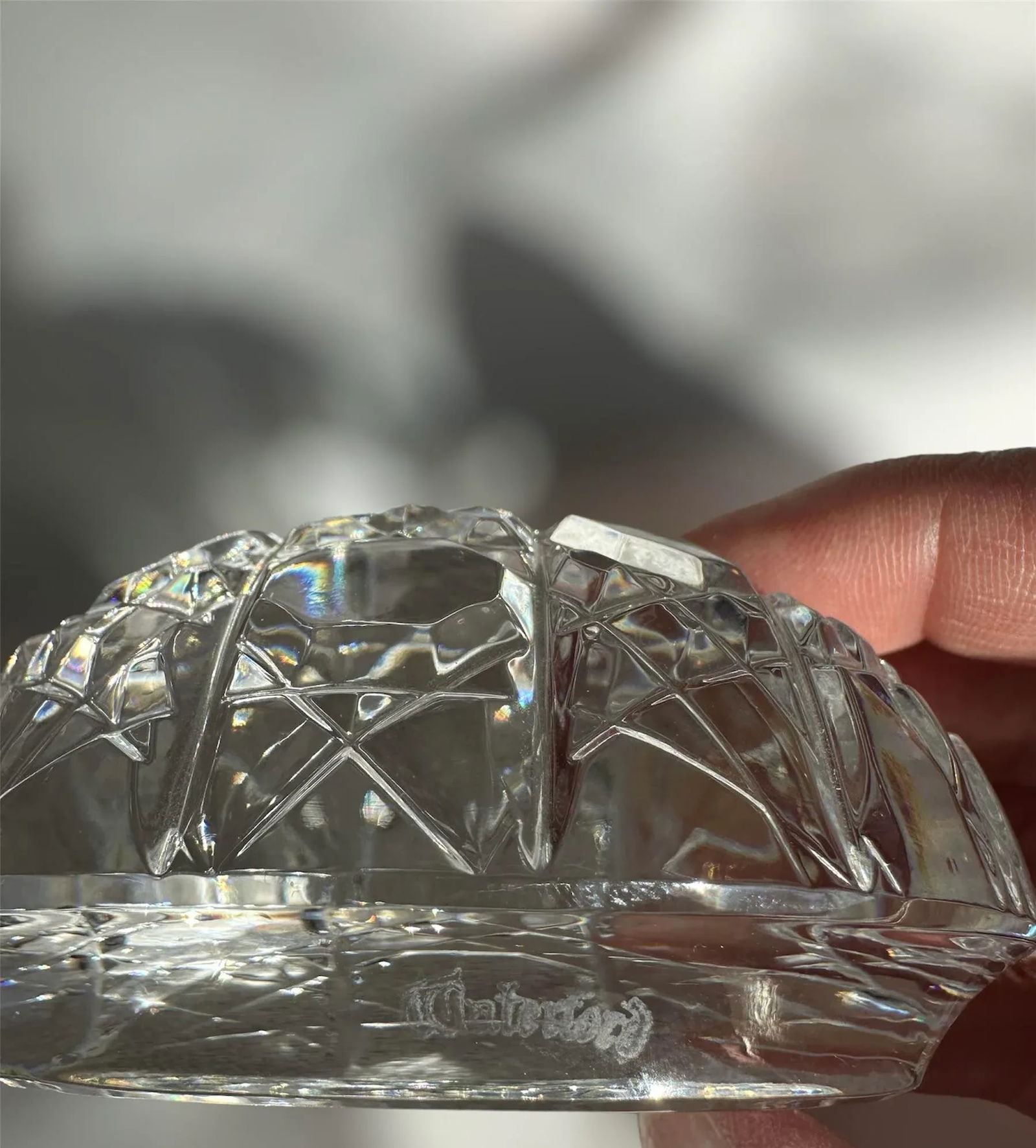Waterford Turtle Crystal Paperweight - 4