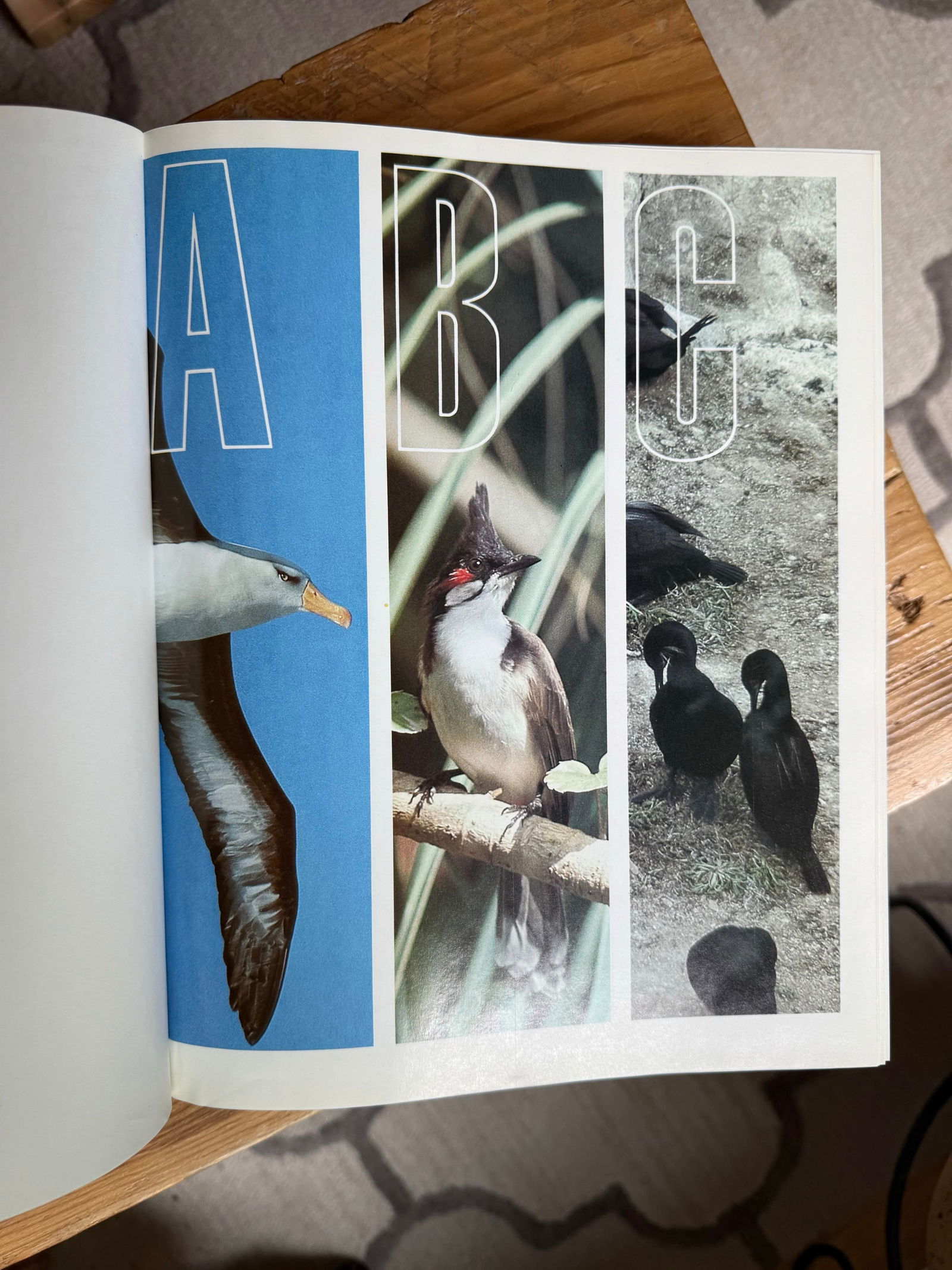 Large 1991 Edition the Audobon Society Encyclopedia of North American Birds by John K. Terres - 10